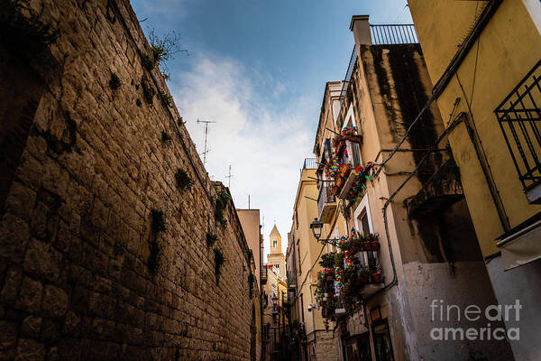 Alpes-maritimes Poster featuring the photograph Beautiful streets of Bari, Italian medieval city. by Joaquin Corbalan