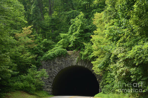 Tunnel Poster featuring the photograph Beautiful Tunnel with Greenery, NC by Adrian De Leon Art and Photography