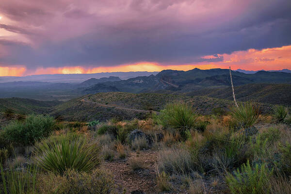 Big Bend Poster featuring the photograph Texas Big bend Stormy Late Afternoon by Harriet Feagin