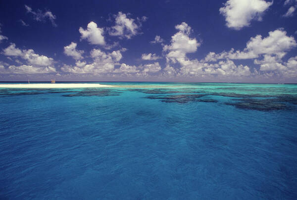 Water's Edge Poster featuring the photograph Big Blue Lagoon by Tammy616