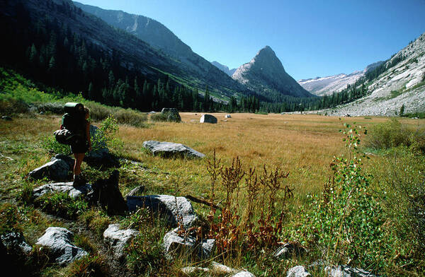 Grass Poster featuring the photograph Big Wet Meadow In Backcountry Cloud by John Elk