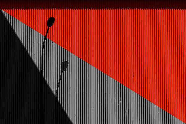 Architecture Poster featuring the photograph Black And Red by Inge Schuster