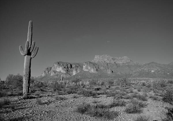 Superstition Poster featuring the photograph Black and White Superstition Mountains by Chance Kafka