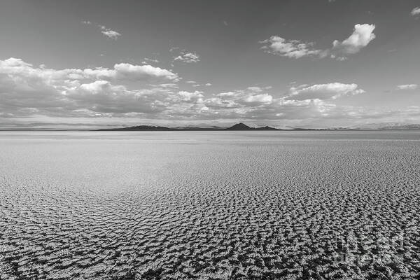 Desert Poster featuring the photograph Black and White View of Soda Dry Lake Near Baker California by Trekkerimages Photography