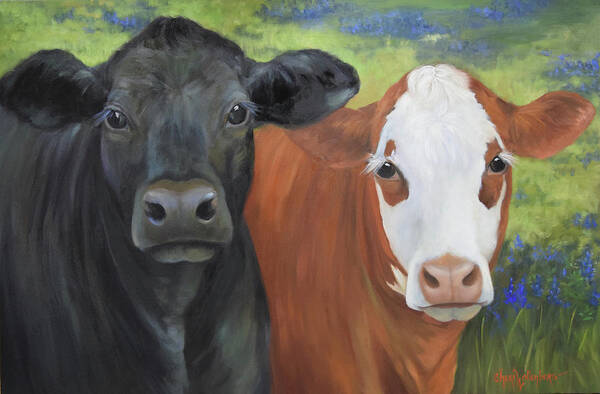 Angus Cow Poster featuring the painting Black Angus And Hereford Cross by Cheri Wollenberg