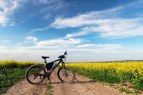 Landscape Poster featuring the photograph Black Male Bike On Blooming Yellow by Ivan Kmit