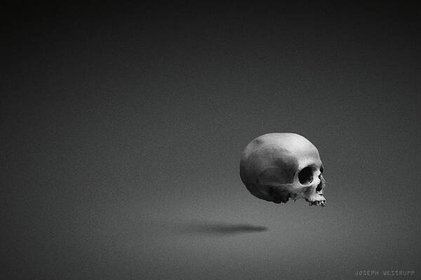 Surreal Skull Poster featuring the photograph Black Shell by Joseph Westrupp