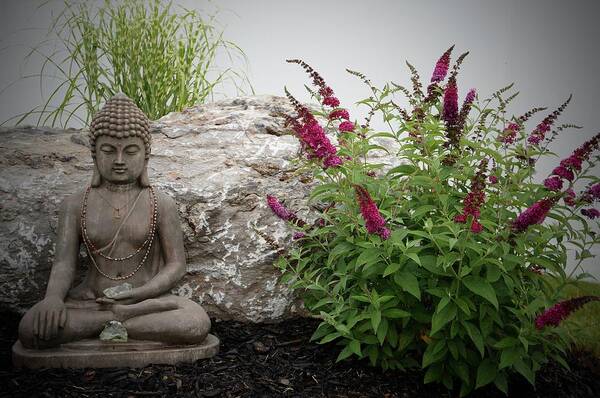 Butterfly Bush Poster featuring the photograph Blooming Buddha by Kathy Ozzard Chism