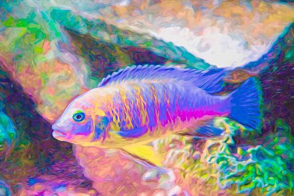 African Cichlid Poster featuring the digital art Blue Zebra Limestone Neon by Don Northup