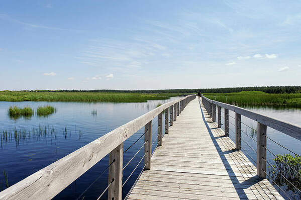 Scenics Poster featuring the photograph Boardwalk Over Bowley Pond , Prince by Brytta