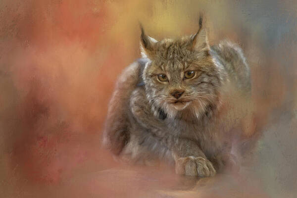 Bobcat Poster featuring the painting Bobcat Pounce by Jeanette Mahoney