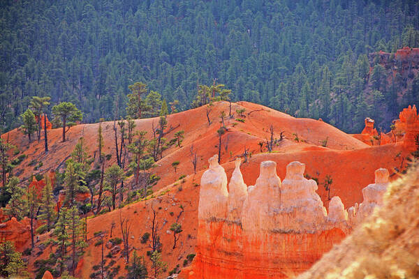 Bryce Canyon Red Rock Hoodoos Trees Mountains Poster featuring the photograph Bryce Canyon red rock hoodoos trees mountains 6559 by David Frederick