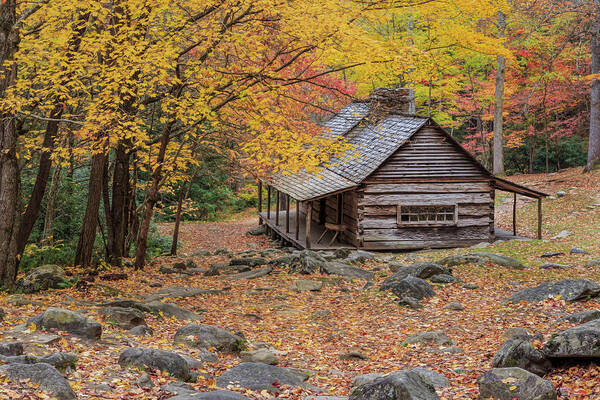 Bud Ogle Cabin Poster featuring the photograph Bud Ogle Cabin by Galloimages Online