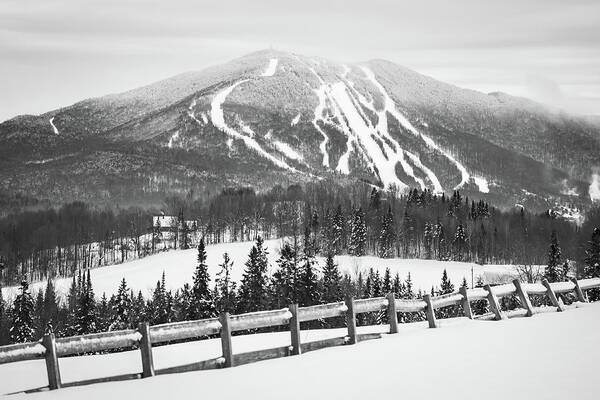 Vermont Poster featuring the photograph Burke Mountain Trails Fence BW by Tim Kirchoff
