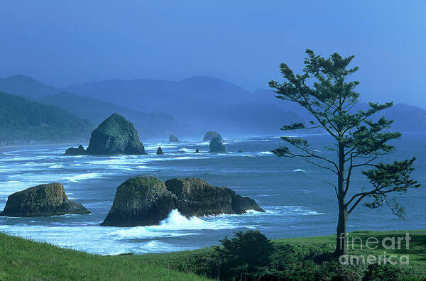 Dave Weling Poster featuring the photograph Cannon Beach And Haystack Rock Ecola State Beach Oregon by Dave Welling