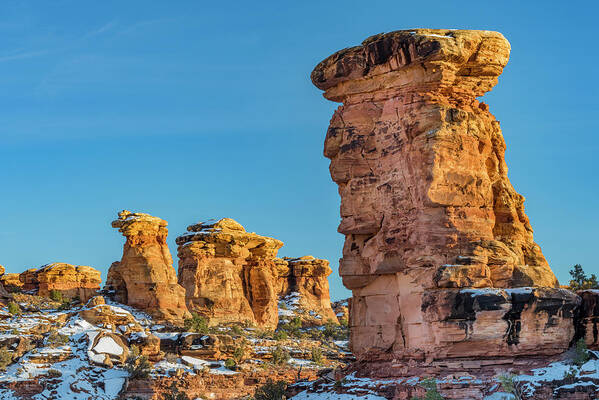 Jeff Foott Poster featuring the photograph Canyonlands Formations In Winter by Jeff Foott