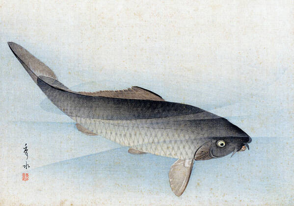 Shusei Poster featuring the painting Carp by Shusei