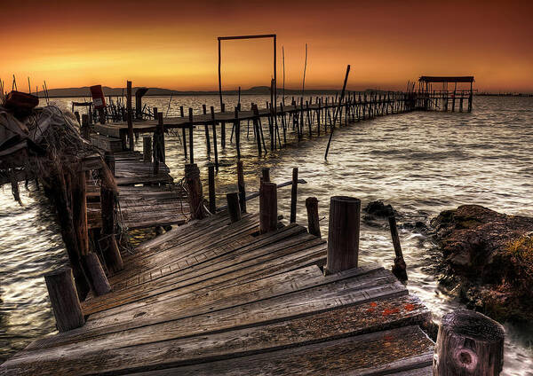 Sunset Poster featuring the photograph Carrasqueira by Paulo Gomes