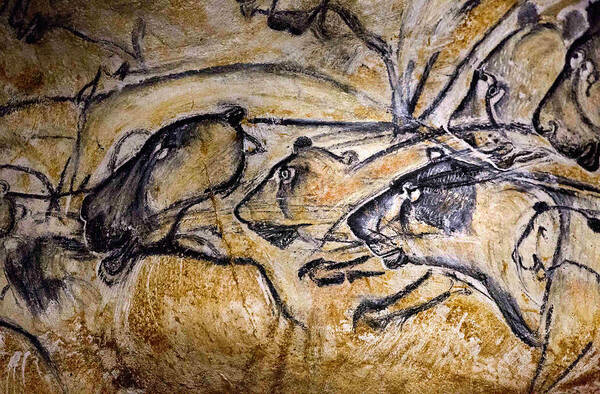 Cave Art Poster featuring the photograph Cave Painting 8 by Andrew Fare