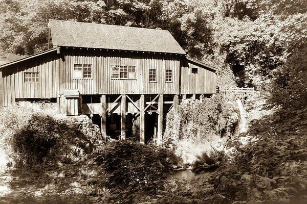 1876 Poster featuring the photograph Cedar Creek Grist Mill - Sepia 0992 by Kristina Rinell