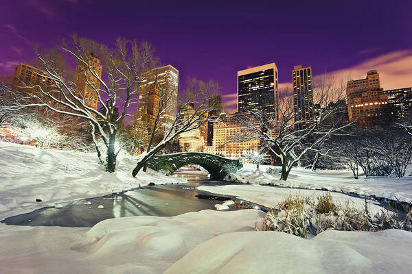 Dawn Poster featuring the photograph Central Park At Night In Winter, Nyc by Espiegle
