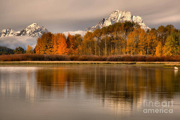 Oxbow Bend Poster featuring the photograph Cloud Over Fall Foliage At Oxbow Bend by Adam Jewell