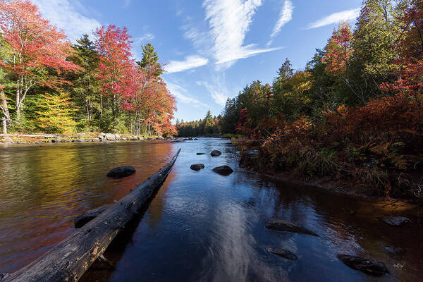 Adirondacks Poster featuring the photograph Color In The Dacks by Everet Regal