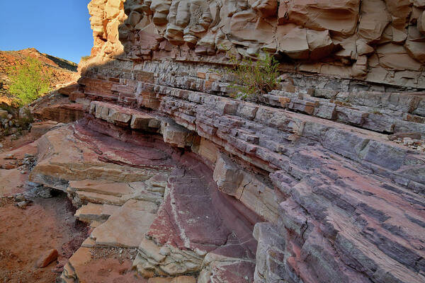 San Rafael Swell Poster featuring the photograph Colorful Cove in Bell Canyon in Utah by Ray Mathis