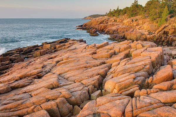 Scenics Poster featuring the photograph Colourful Pink Granite Of Otter Point by Alan Majchrowicz