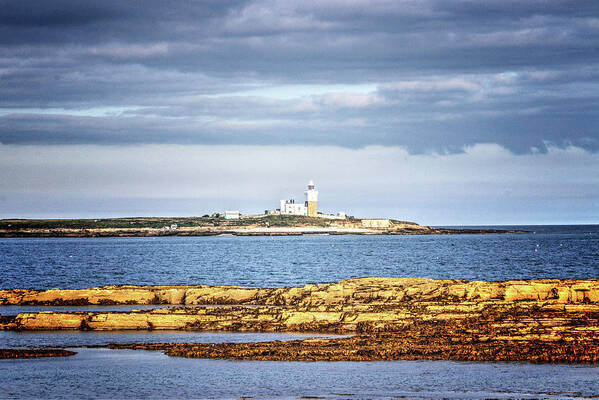 Coquet Poster featuring the photograph Coquet Island by Jeff Townsend