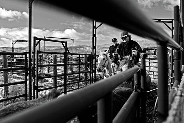 Ranch Poster featuring the photograph Cowboys at work by Julieta Belmont