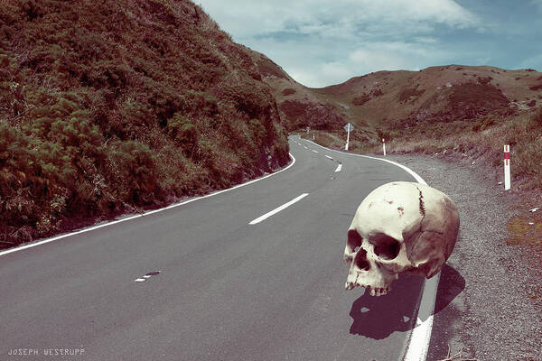 Skull Poster featuring the photograph Cranium Volito by Joseph Westrupp