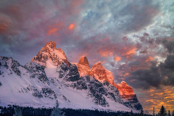 Alberta Poster featuring the photograph Crimson Winter by Luis F Arvalo