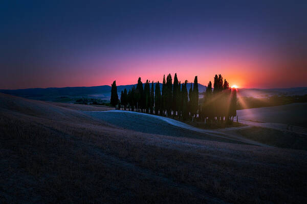 Tuscany Poster featuring the photograph Cypresses by Tommaso Pessotto