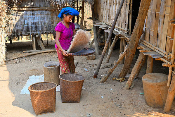 Rice Processing Poster featuring the photograph Daily Life In Hilly Area. by Md Mahabub Hossain Khan