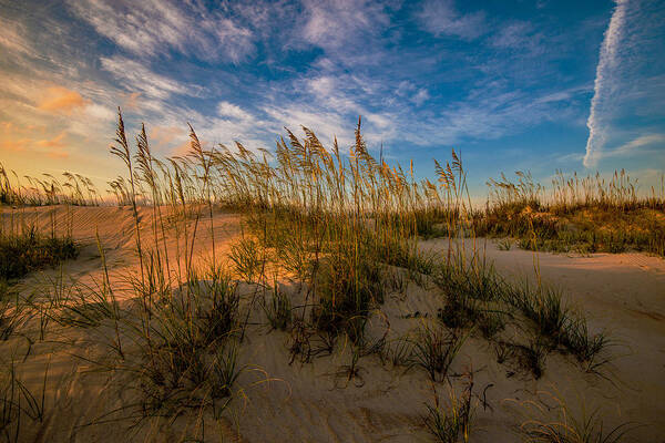 Dawn On The Dunes Prints Poster featuring the photograph Dawn On The Dunes by John Harding