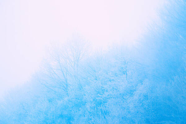 Winter Poster featuring the photograph Daybreak by Iryna Goodall