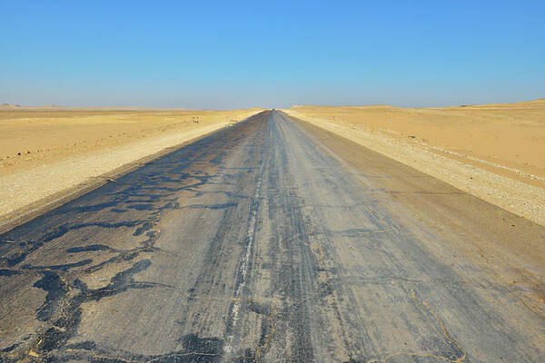 Tranquility Poster featuring the photograph Desert Road by Raimund Linke