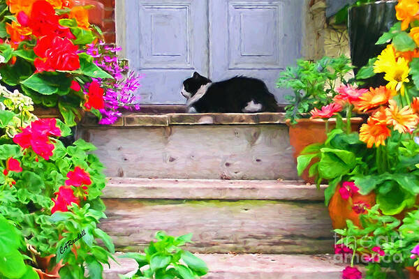 Cat Poster featuring the photograph Dozing Gardener by Carol Randall