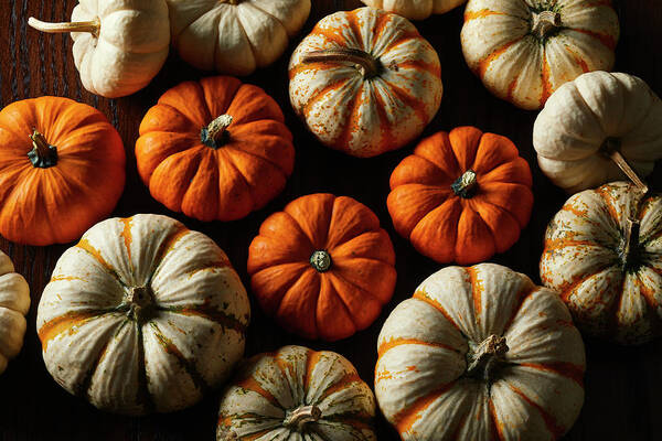 Food Poster featuring the photograph Dramatic Pumpkins #5 by Cuisine at Home