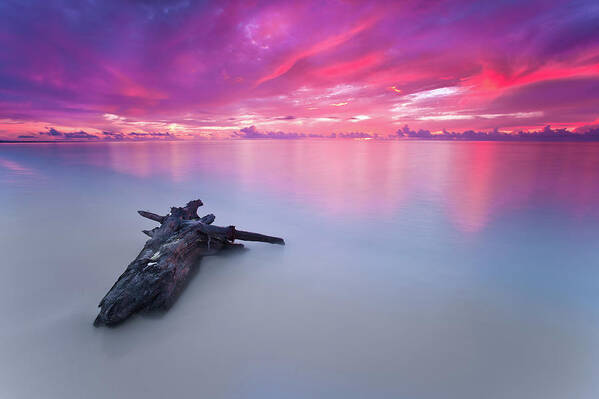 Driftwood Poster featuring the photograph Driftwood On Maroma Beach At Sunrise by J. Andruckow
