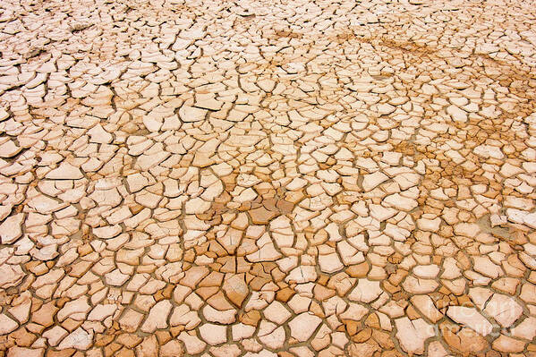 Climate Change Poster featuring the photograph Dry Soil by Wladimir Bulgar/science Photo Library
