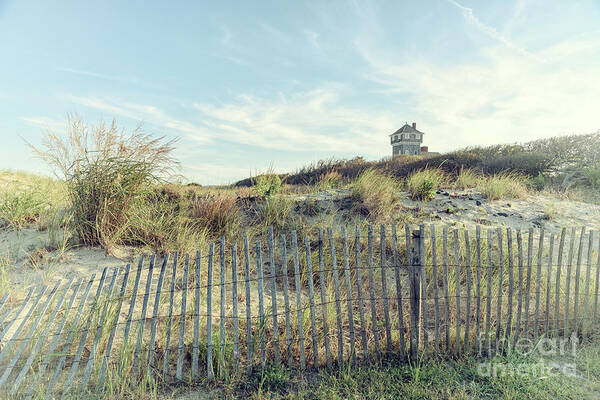 Dune Fence Poster featuring the photograph Dune Fence and Grass by Debra Fedchin