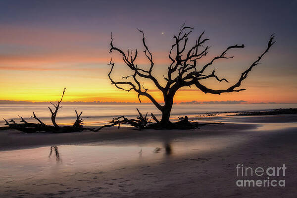 Driftwood Beach Poster featuring the photograph Early morning reflections at Driftwood Beach by Izet Kapetanovic