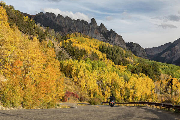 Motorcycle Poster featuring the photograph Easy Autumn Rider by James BO Insogna