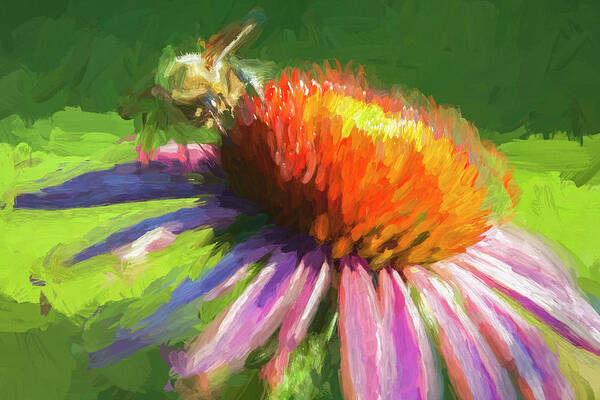 Impressionism Poster featuring the photograph Echinacea Visitor by Ginger Stein