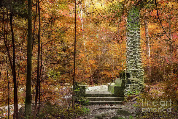 Elkmont Poster featuring the photograph Elkmont Chimney Remains by Mike Eingle