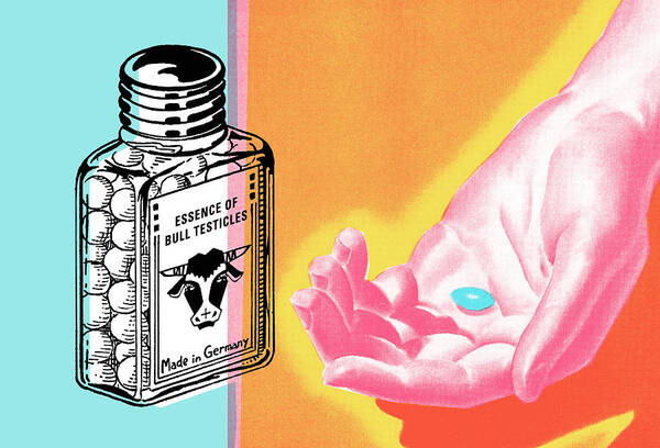 Bottle Poster featuring the drawing Essence of Bull Testicles by CSA Images