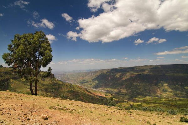 Scenics Poster featuring the photograph Ethiopian Landscape, Canyon Of Debre by Lingbeek