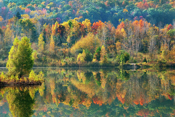 Fall Trees Poster featuring the photograph Fall Kaleidoscope by Christina Rollo